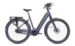 Superior E-Tour eWay 6.1 500Wh